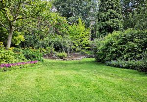 Optimiser l'expérience du jardin à Canville-la-Rocque